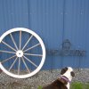Lola in front of sign